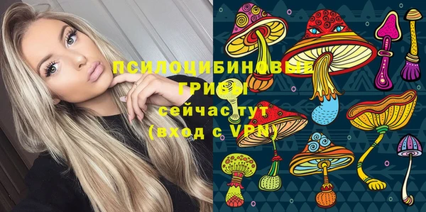дмт Алзамай