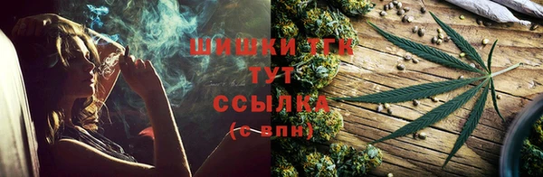 шишки Гусев