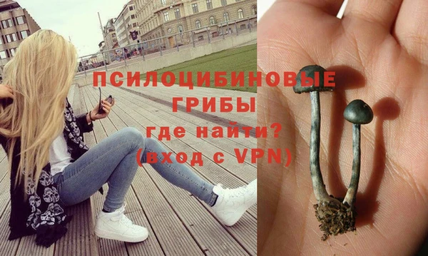 дмт Алзамай