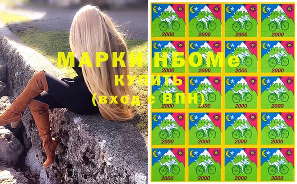 дмт Алзамай