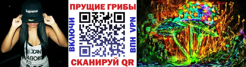 МЕГА   Бердск  Галлюциногенные грибы GOLDEN TEACHER 