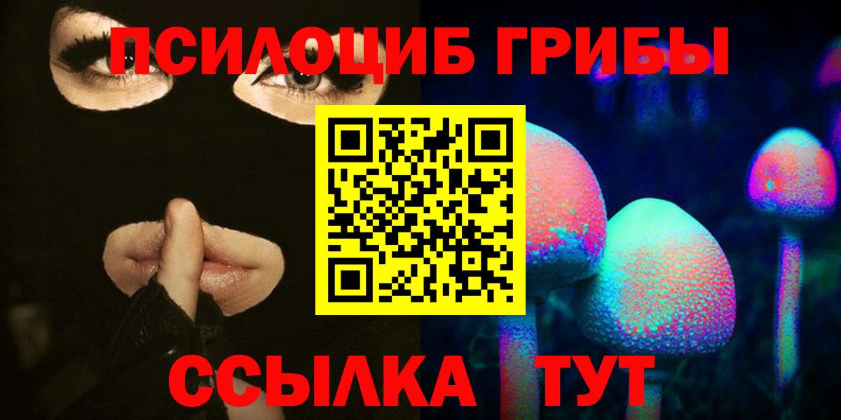 Псилоцибиновые грибы Psilocybine cubensis Бердск