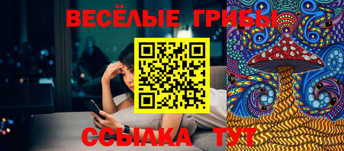 Бутират Бердск