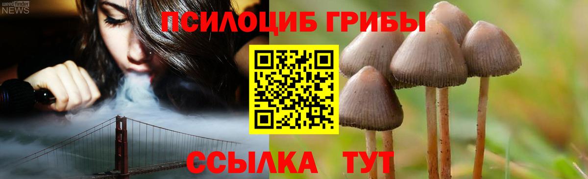 Галлюциногенные грибы Cubensis  Вход с VPN  Бердск 